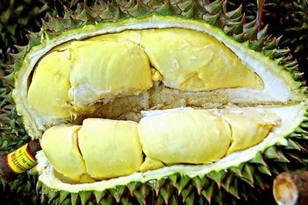吃遍世界 全球7大最奇特的食物（組圖）