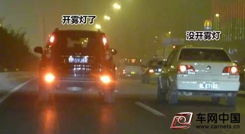 高速路上有大霧？該怎么安全行車？