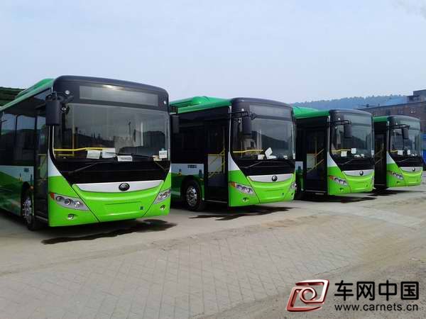 河南要求5年內(nèi)新能源公交車占比達(dá)80%